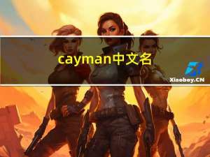 cayman中文名（cayman怎么读）