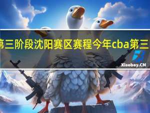 cba第三阶段沈阳赛区赛程 今年cba第三阶段赛程表