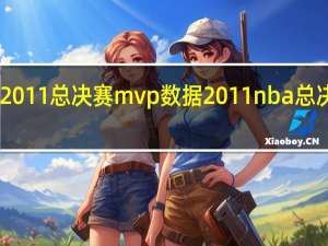 cba2011总决赛mvp数据 2011nba总决赛第二场