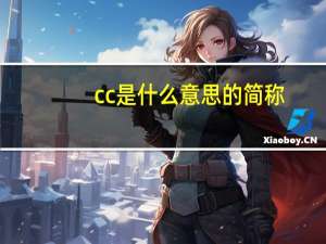 cc是什么意思的简称