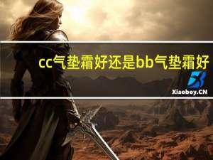 cc气垫霜好还是bb气垫霜好