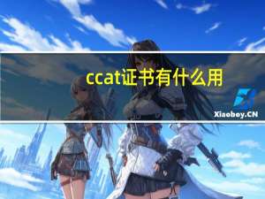 ccat证书有什么用