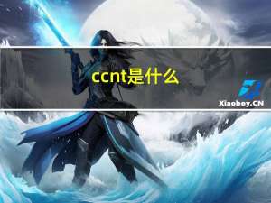 ccnt是什么（ccnt）