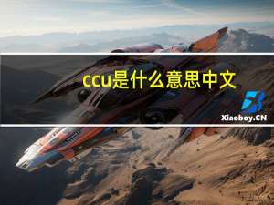 ccu是什么意思中文（ccu是什么意思）