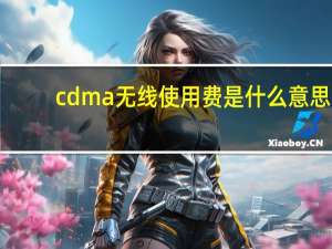 cdma无线使用费是什么意思（cdma无线上网）