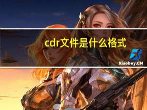 cdr文件是什么格式