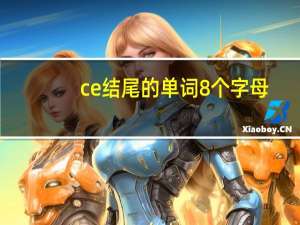ce结尾的单词8个字母