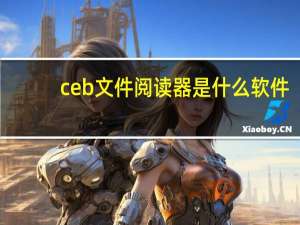 ceb文件阅读器是什么软件（ceb文件阅读器）