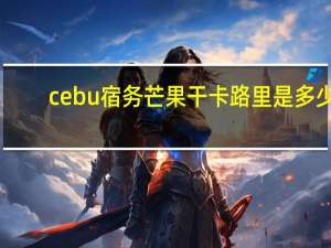 cebu 宿务芒果干卡路里是多少