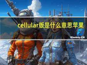 cellular版是什么意思苹果（cellular版是什么意思）