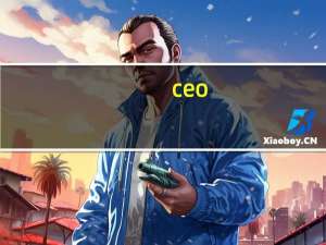 ceo（cfo coo）