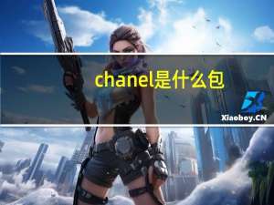 chanel是什么包