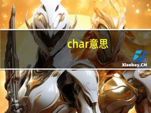 char  意思