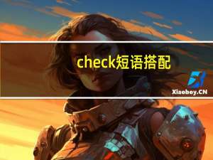 check短语搭配
