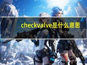 check valve是什么意思（valve是什么意思）
