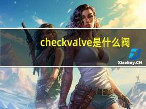 check valve是什么阀