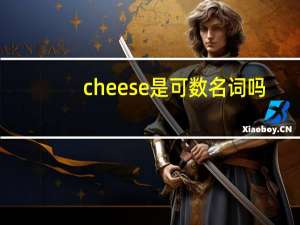 cheese是可数名词吗