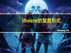 cheese的复数形式