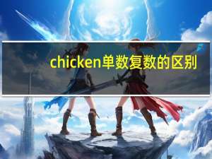 chicken单数复数的区别