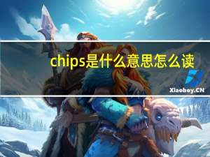 chips是什么意思怎么读（chips是什么意思）