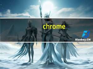 chrome。exe是什么软件