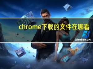 chrome下载的文件在哪看