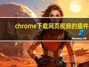 chrome下载网页视频的插件