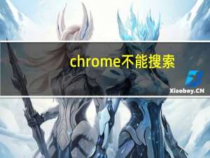 chrome不能搜索