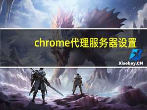 chrome代理服务器设置