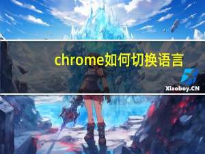 chrome如何切换语言