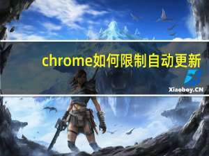 chrome如何限制自动更新