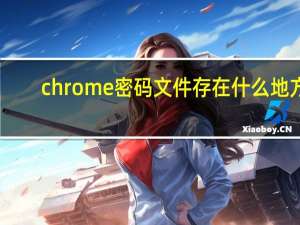 chrome密码文件存在什么地方