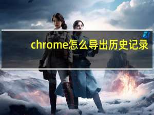 chrome怎么导出历史记录