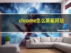 chrome怎么屏蔽网站