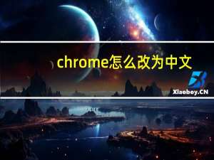 chrome怎么改为中文