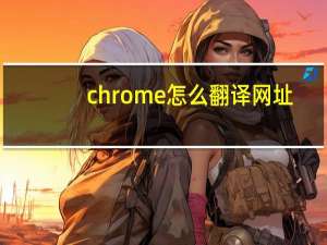 chrome怎么翻译网址
