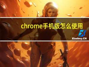 chrome手机版怎么使用