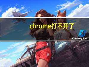 chrome打不开了