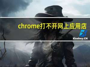 chrome打不开网上应用店