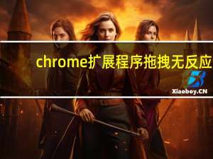chrome扩展程序拖拽无反应