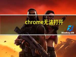 chrome无法打开