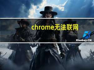 chrome无法联网
