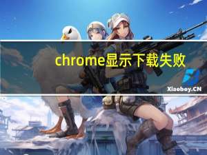 chrome显示下载失败