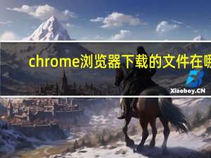 chrome浏览器下载的文件在哪
