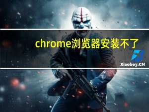 chrome浏览器安装不了