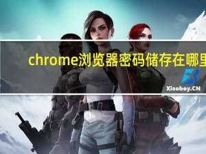 chrome浏览器密码储存在哪里