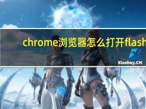 chrome浏览器怎么打开flash