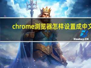 chrome浏览器怎样设置成中文