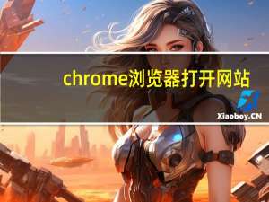 chrome浏览器打开网站