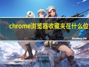 chrome浏览器收藏夹在什么位置